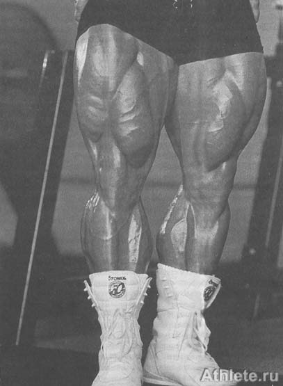 Когда Ли Прист демонстрирует свои ноги, вы можете ясно видеть, что квадрицепс состоит из четырех отдельных мышц, наряду с приводящими мышцами внутренней части бедра.